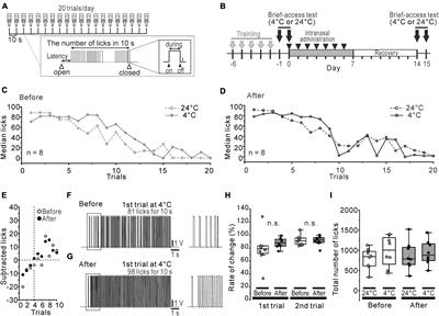 Reduced menthol sensitivity in a prodromal Parkinson’s disease model induced by intranasal rotenone treatment